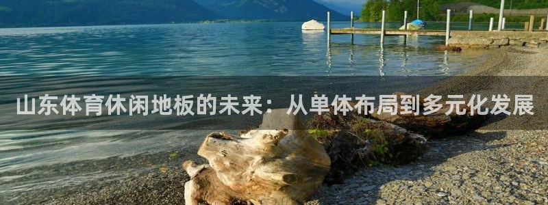 Top1体育top：山东体育休闲地板的未来：从单体布局到多元化发展