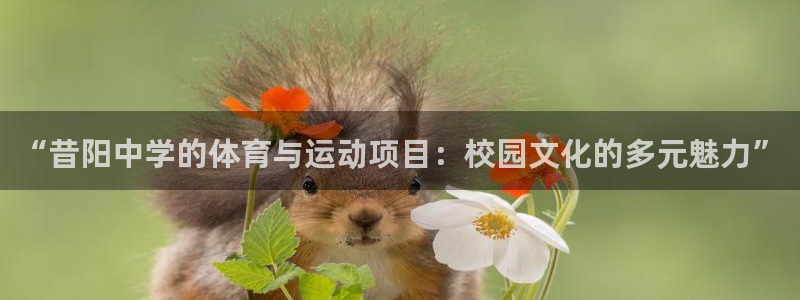 Top1体育娱乐：“昔阳中学的体育与运动项目：校园文化的多元魅力”
