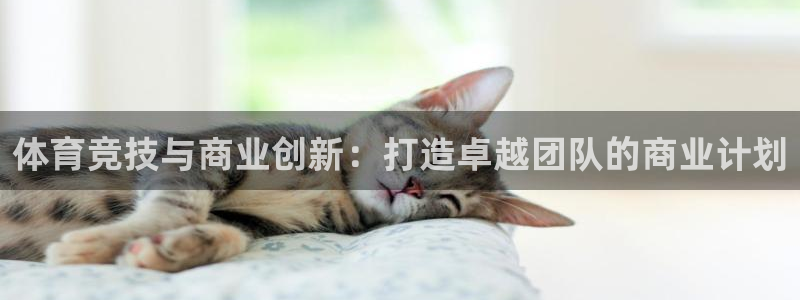 Top1体育官网：体育竞技与商业创新：打造卓越团队的商业计划