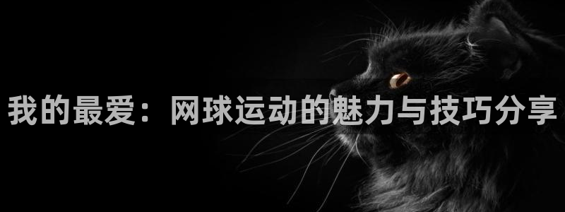 Top1体育娱乐：我的最爱：网球运动的魅力与技巧分享